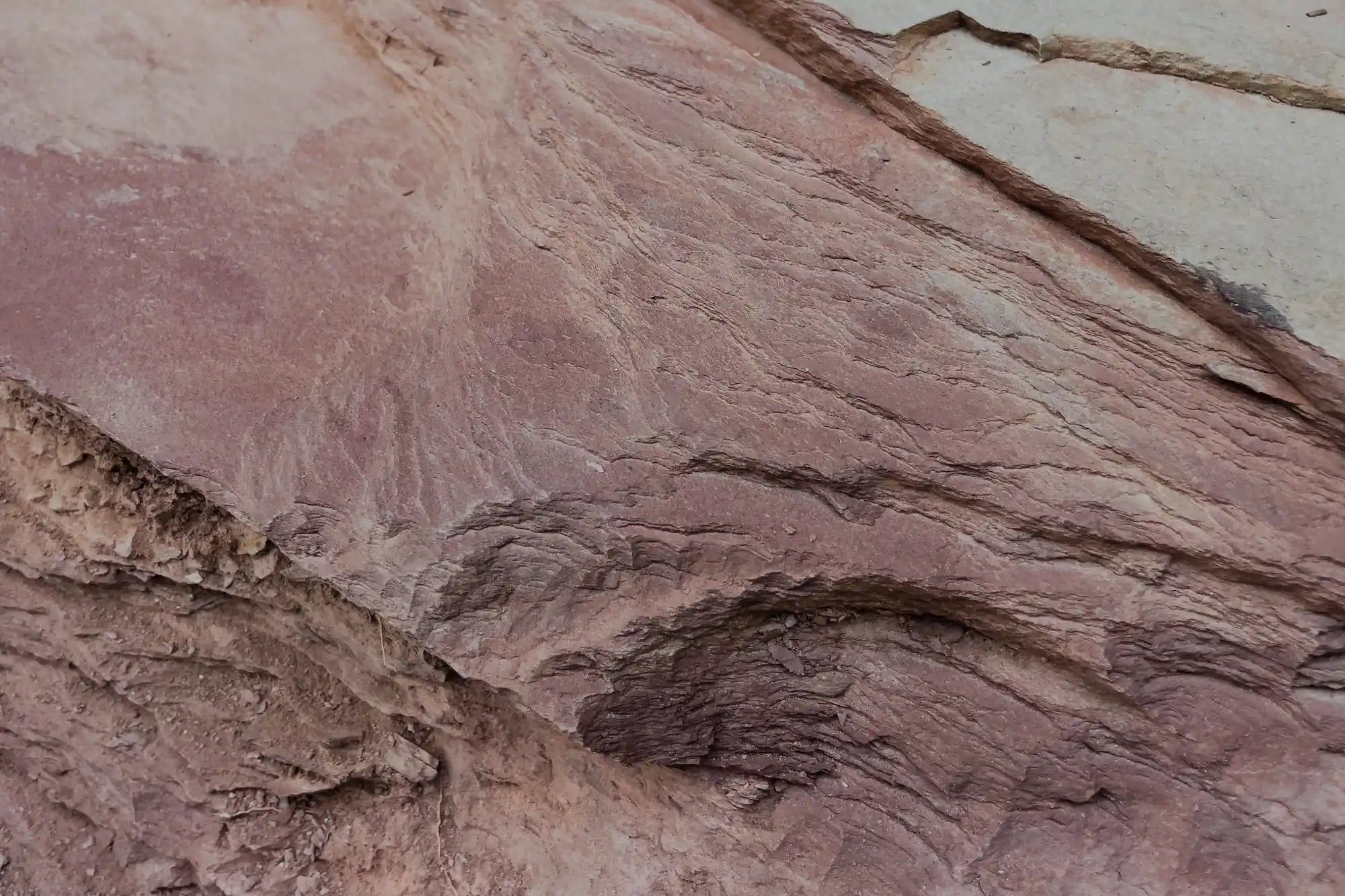 Close-up of the red slate stone for decorative wall panels from stonearts®.