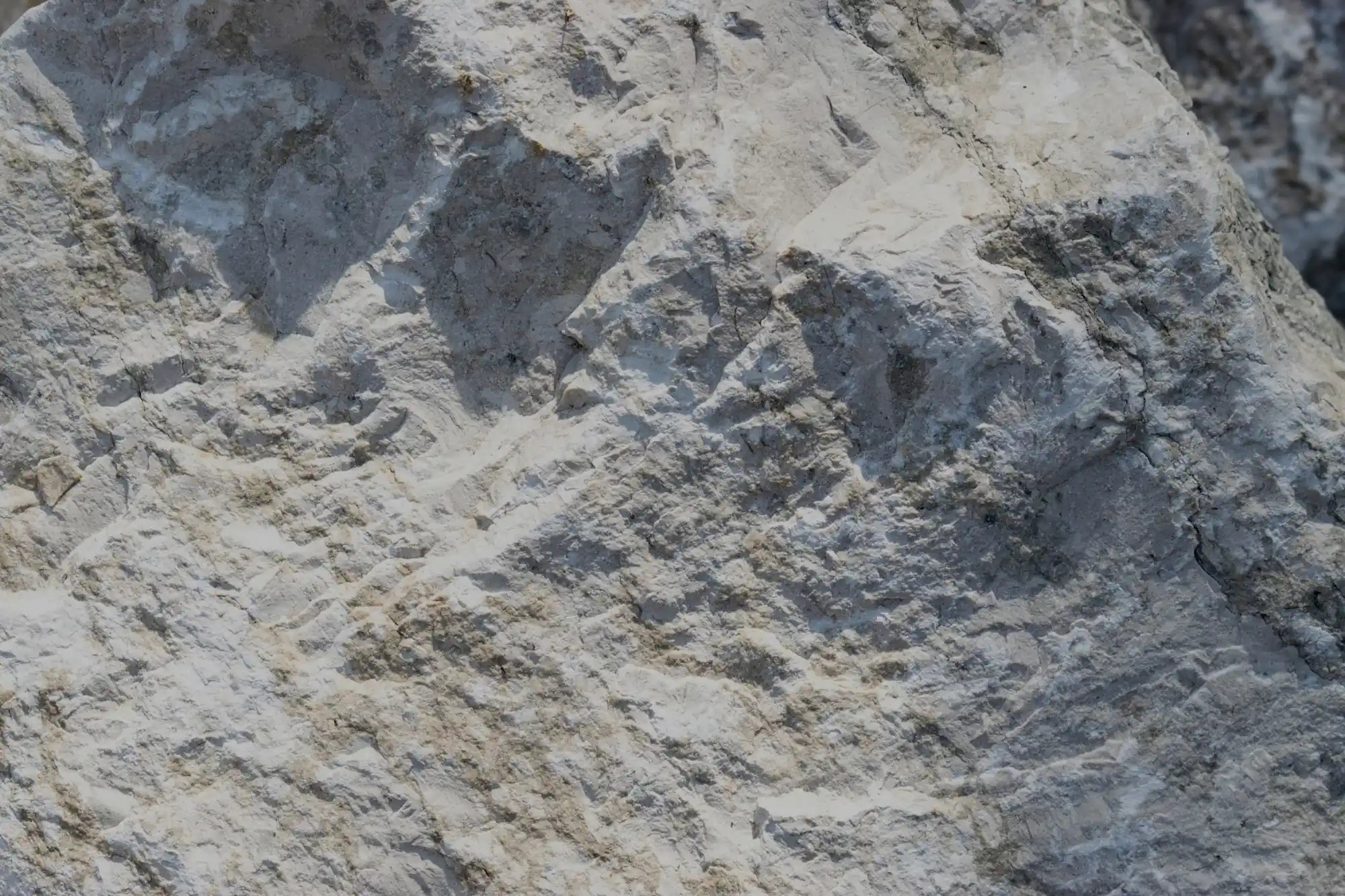 Close-up of the white sandstone of the high-quality wall cladding from stonearts®.